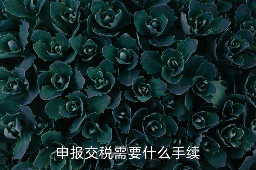 辦理稅務(wù)需要什么手續(xù)，稅務(wù)登記 代辦需要什么手續(xù)