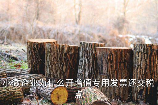 小微企業(yè)為什么開(kāi)增值專(zhuān)用發(fā)票還交稅點(diǎn)