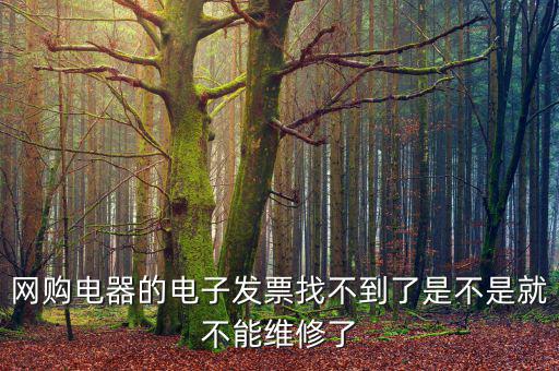 網購電器的電子發(fā)票找不到了是不是就不能維修了