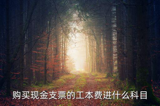 發(fā)票工本費(fèi)什么科，買支票的工本費(fèi)和手續(xù)費(fèi)分別進(jìn)什么科目
