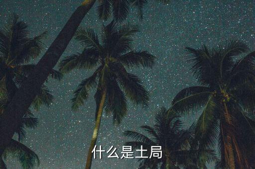 土稅局是什么意思，什么是土局