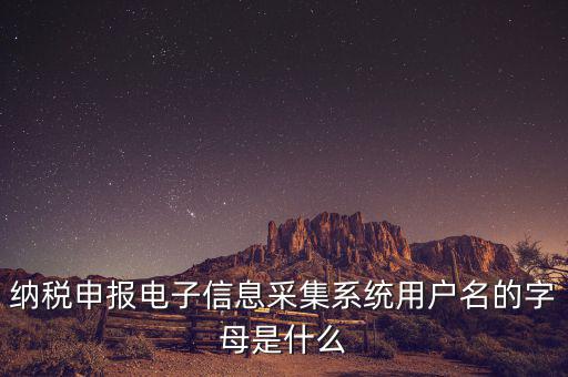 納稅人用戶編號是什么，地稅的用戶名是什么