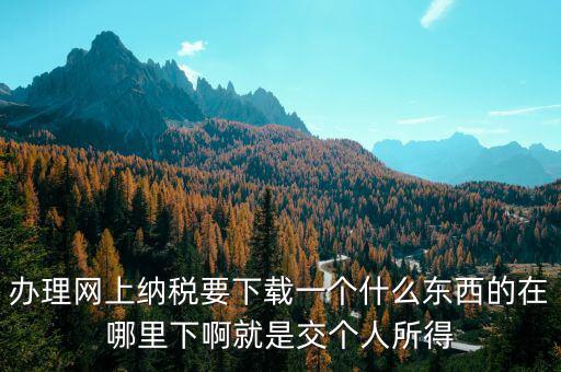 辦理網上納稅要下載一個什么東西的在哪里下啊就是交個人所得