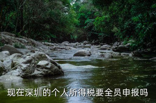 深圳為什么要個稅申報(bào)，外地企業(yè)如何在深圳為什么還要繳納個人所得稅1