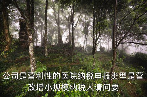 營改增醫(yī)院用什么發(fā)票，營改增認定的一般納稅人使用什么發(fā)票