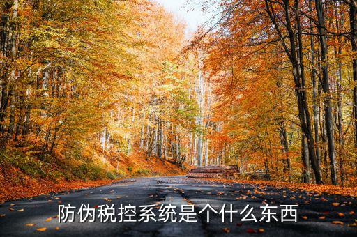 防偽稅控一體化什么時候，營改增后漢字防偽企業(yè)抄報稅時需要使用什么設(shè)備