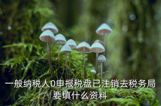 注銷(xiāo)金稅盤(pán)需要帶什么資料，請(qǐng)問(wèn)注銷(xiāo)稅務(wù)登記需要提供哪些資料