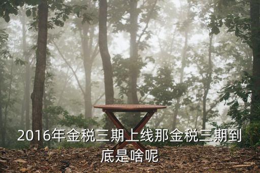 金稅三期具體什么意思，金稅三期是什么意思