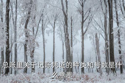 總賬里關于記賬憑證的種類和號數(shù)是什么意思