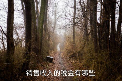 銷售交什么稅，銷售收入的稅金有哪些