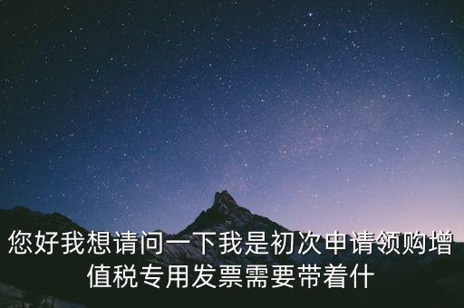 您好我想請(qǐng)問一下我是初次申請(qǐng)領(lǐng)購增值稅專用發(fā)票需要帶著什