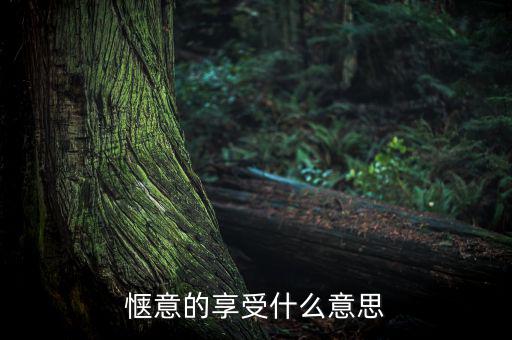 應(yīng)享盡享什么意思，愜意的享受什么意思