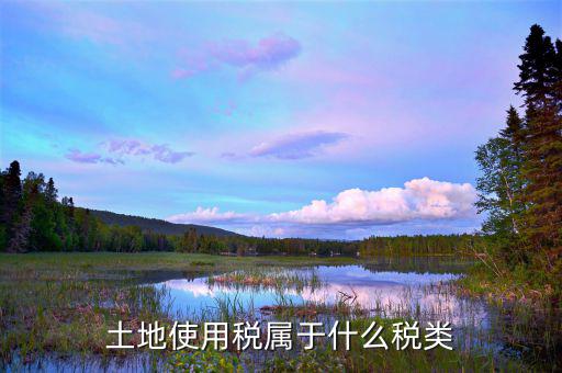 土地使用稅是放在什么類別里的，土地使用稅屬于什么稅類