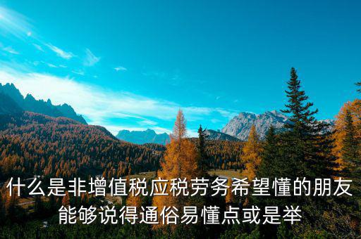 非增值稅應(yīng)稅勞務(wù)什么意思，什么是非增值稅應(yīng)稅勞務(wù)希望懂的朋友能夠說(shuō)得通俗易懂點(diǎn)或是舉