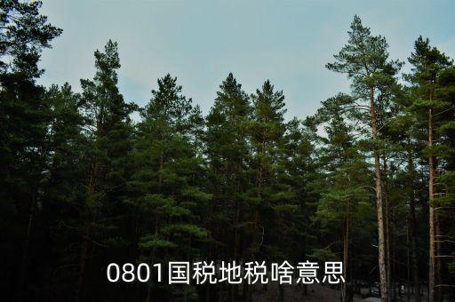 鹽城地稅三化是什么意思，地稅三優(yōu)兩促進是什么意思