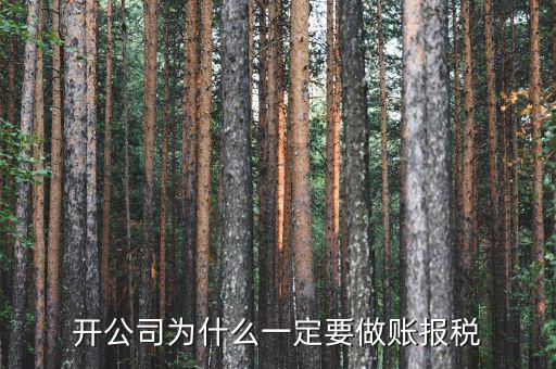 開(kāi)公司為什么一定要做賬報(bào)稅