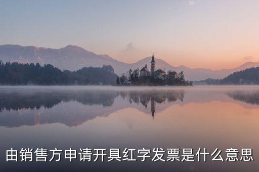 由銷(xiāo)售方申請(qǐng)開(kāi)具紅字發(fā)票是什么意思