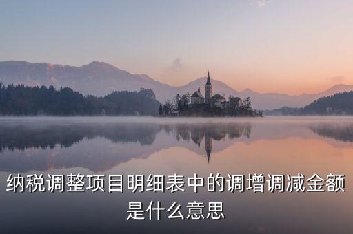 納稅調整項目明細表中的調增調減金額是什么意思