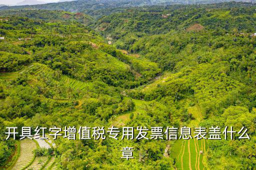發(fā)票章什么樣子，開具紅字增值稅專用發(fā)票信息表蓋什么章