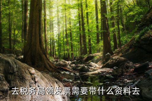 領(lǐng)發(fā)票都要帶什么，去稅務(wù)局領(lǐng)發(fā)票需要帶什么資料去