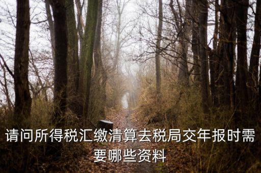 公司稅務(wù)年報(bào)需要什么，問企業(yè)所得稅年報(bào)怎么報(bào)需要什么資料