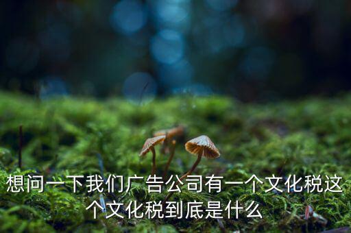 什么是稅務(wù)文化，和諧地稅文化的內(nèi)涵應(yīng)包括哪些方面