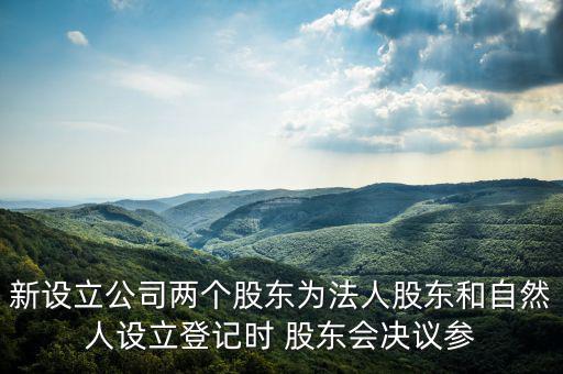 新設(shè)立公司兩個股東為法人股東和自然人設(shè)立登記時 股東會決議參