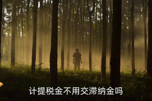 什么稅沒有滯納金，各種稅的滯納金一樣么
