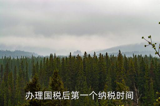 報(bào)稅后什么時(shí)候交稅，辦理國(guó)稅后第一個(gè)納稅時(shí)間