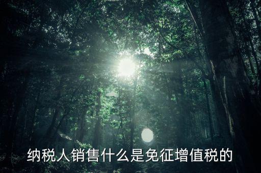什么免征增值稅，哪些屬于免征增值稅