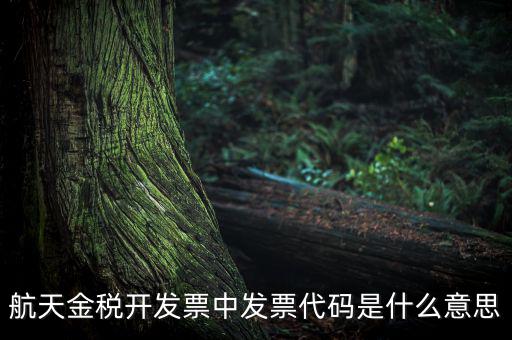 增值稅的航天編碼是什么，航天金稅 自動(dòng)開票 怎么獲取 發(fā)票代碼 發(fā)票號(hào)碼