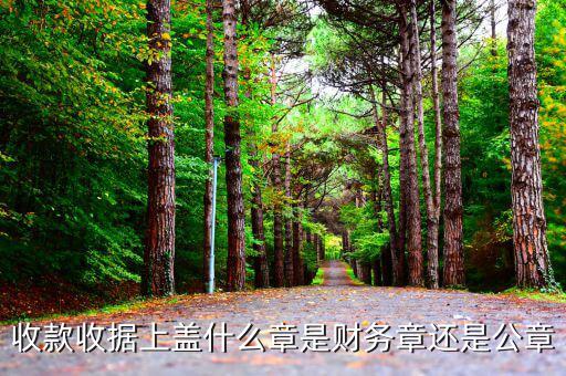 收據(jù)加蓋什么章，收據(jù)蓋什么章有規(guī)定嗎