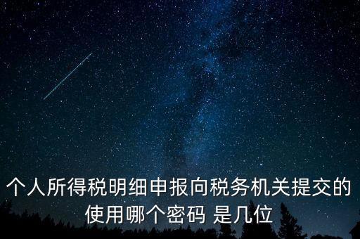 個人所得稅明細申報向稅務(wù)機關(guān)提交的使用哪個密碼 是幾位