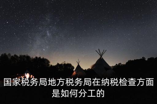 地方稅務(wù)局一案雙查是什么意思，國稅局一二稽查大隊是何意思