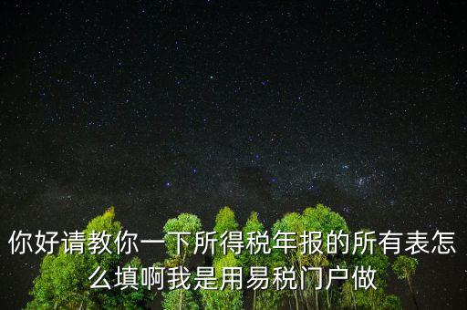 你好請教你一下所得稅年報(bào)的所有表怎么填啊我是用易稅門戶做