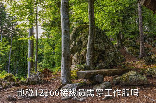 12366地稅主要負(fù)責(zé)什么，地稅是指什么