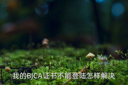 為什么ca證書不能登錄，我的BJCA證書不能登陸怎樣解決