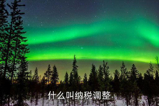 什么叫納稅調整
