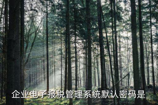 電子稅務(wù)局的初始密碼是什么，稅務(wù)局網(wǎng)站的登入賬戶初始密碼是什么