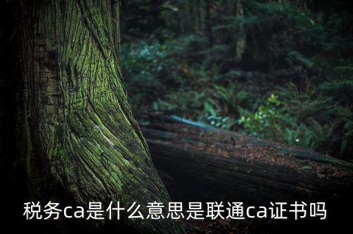 稅務(wù)ca是什么意思，去地稅簽三方協(xié)議需要以下東西第四個CA是什么意思啊