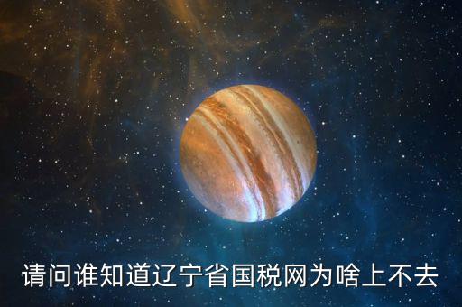 請問誰知道遼寧省國稅網為啥上不去