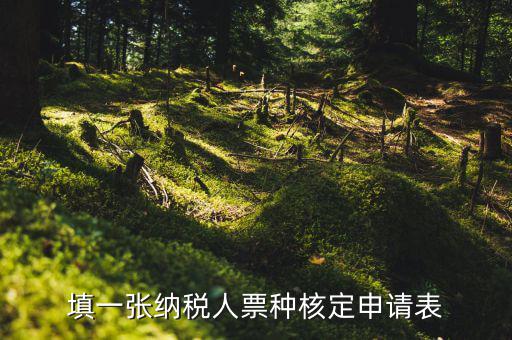 交票種核定表是什么，納稅人領(lǐng)購(gòu)發(fā)票票種核定申請(qǐng)表如何填寫