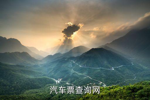 查汽車發(fā)票什么網(wǎng)站，什么軟件可以查詢汽車票