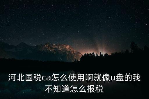 ca行助手是什么，稅務申報是否下載ca行助手就可以了