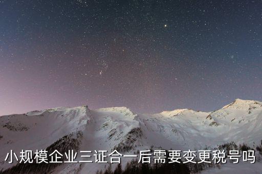 什么情況需要變更稅號(hào)，小規(guī)模企業(yè)三證合一后需要變更稅號(hào)嗎