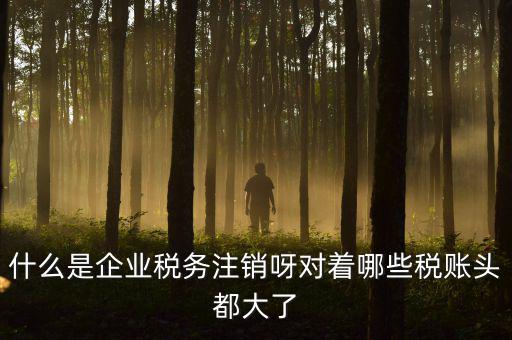 什么是企業(yè)稅務(wù)注銷(xiāo)呀對(duì)著哪些稅賬頭都大了