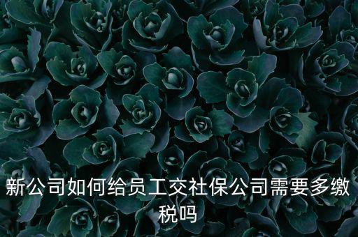 公司交社保要交什么稅，企業(yè)為員工交養(yǎng)老保險要不要交稅的