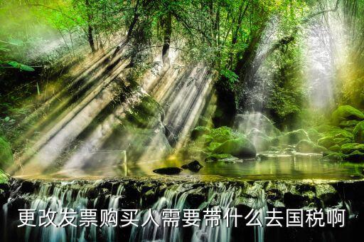 更改發(fā)票價格需要帶上什么東西，變更發(fā)票購買人需要帶什么東西去稅務局