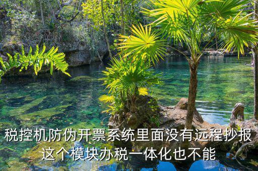 稅控機(jī)防偽開(kāi)票系統(tǒng)里面沒(méi)有遠(yuǎn)程抄報(bào)這個(gè)模塊辦稅一體化也不能