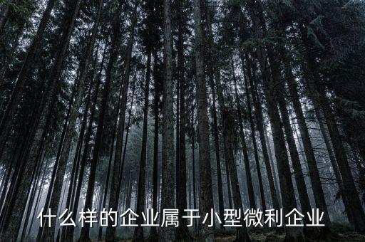 什么屬于小微企業(yè)，小微企業(yè)是什么